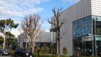 Karigo 恵比寿 代官山周辺の様子（2）